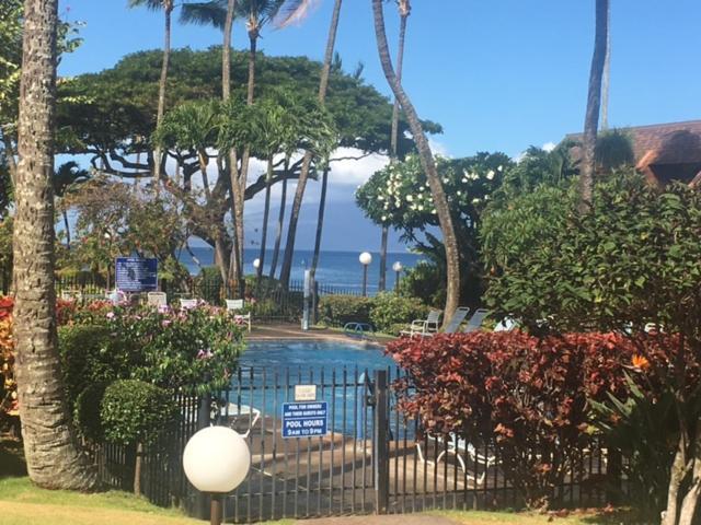 Kuleana Turtle Sanctuary Beach Napili-Honokowai 외부 사진