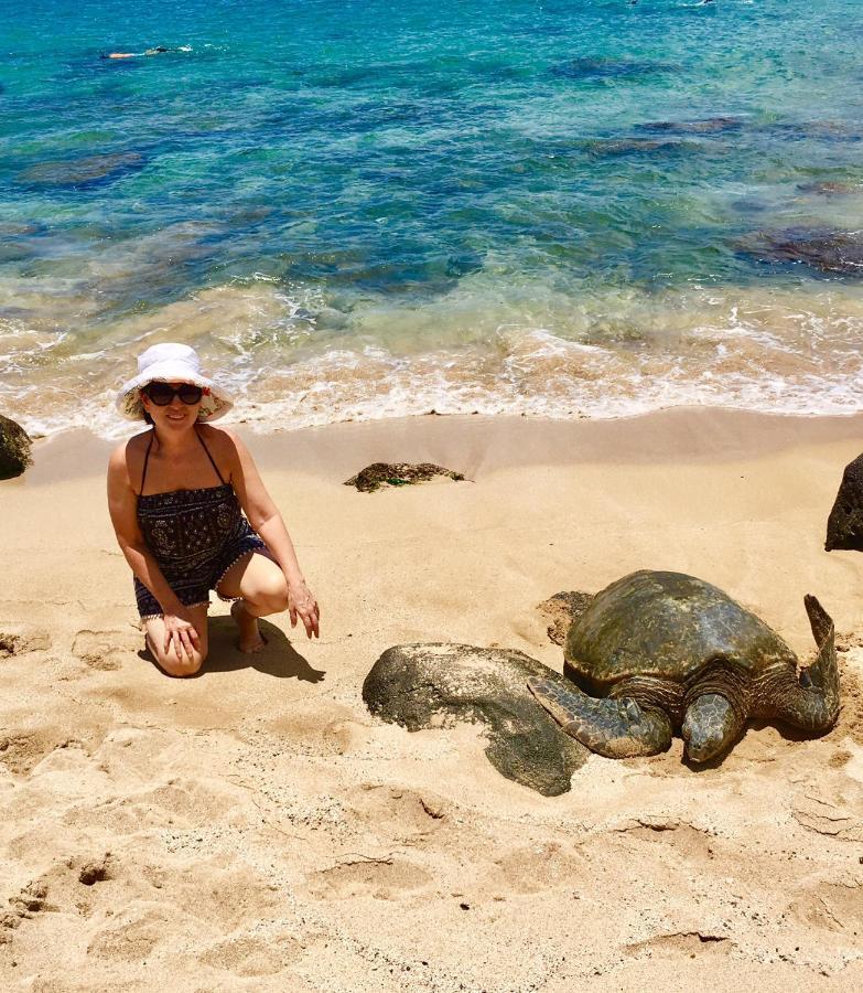 Kuleana Turtle Sanctuary Beach Napili-Honokowai 외부 사진